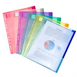 A4 dokumentmapp med hålning, 12 mapper i sorterade färger